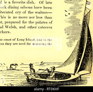 . American guide du pêcheur : ou, complète le manuel de Fisher, pour les États-Unis : contenant les opinions et les pratiques des pêcheurs expérimentés des deux hémisphères ; avec l'ajout d'une deuxième partie.. La pêche. Le con, 205 jugé préférable. De nombreuses espèces de poissons peuvent être pêchés avec succès par la chair de leur propre espèce ; mais ce n'est pas le cas de la morue. Que l'odeur de certains types d'appât est particulièrement agréable est bien établi : mais l'odeur putride de la matière, pour ce poisson, est si offensant, qu'au lieu de jouer- sur le crochet, ils vont généralement au-delà de son influence. Ils sont Banque D'Images