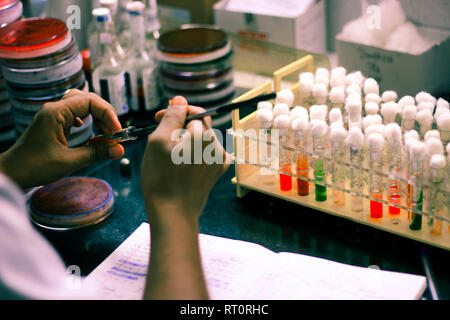 L'inoculation bactérienne sur une gélose de tube à essai à l'aide de milieux de culture scientifique de l'inoculation par boucle Technicien de laboratoire dans un laboratoire de microbiologie Banque D'Images