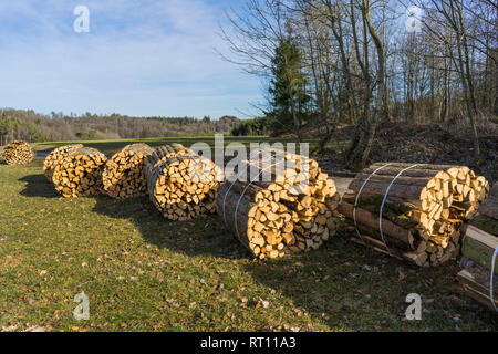 Bois scié, fendu, trunks se trouvent dans le pré. Thème : Autres méthodes de chauffage et de protection de l'environnement. Banque D'Images