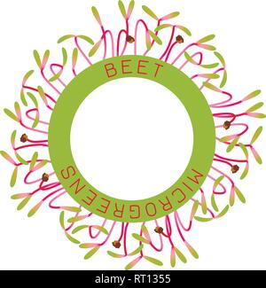 Betterave Microgreens. La conception des emballages de semences, l'élément rond au centre. Autour de lui les germes. Supplément de vitamines, de nourriture vegan Illustration de Vecteur