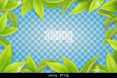 Image feuilles vertes sur fond transparent. Border pour le printemps. Illustration de Vecteur