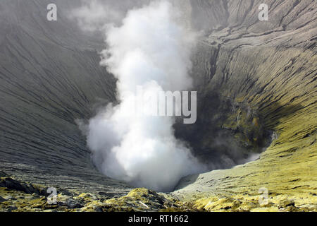 Le Mont Bromo (Gunung Bromo), est un volcan actif et une partie de l'Tengger massif, dans l'Est de Java, Indonésie. Banque D'Images