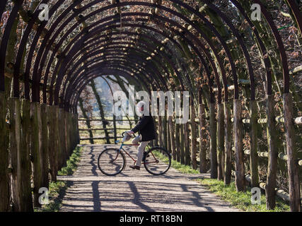 Schwerin, Allemagne. Feb 27, 2019. Un homme dans le soleil à travers une colonnade dans le Schlaßgarten à Schwerin. Avec un soleil et des températures autour de 15 degrés le temps montre son côté amical. Credit : Jens Büttner/dpa-Zentralbild/dpa/Alamy Live News Banque D'Images