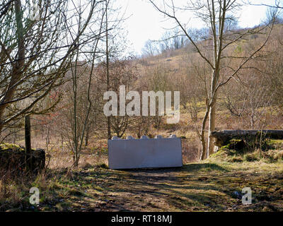 Wirksworth, Derbyshire Dales, UK. 27 févr. 2019. Blocs de béton placés sur le parking pour protéger Wirksworth beauty spot appartenant à Wirksworth Ville Conseil (Travail) après la Broye District Council (Conservateur) ont voté le déplacement d'un tonneau de camp des voyageurs sur des terres contestées adjacent à Stoney Wood, Wirksworth, Derbyshire Dales. Wirksworth conseil de ville sont à la recherche de conseiller juridique pour essayer et protéger les arbres, de rares orchidées sauvages et autres animaux sauvages dans et autour de cette vue d'intérêt scientifique. De : Doug Blane/Alamy Live News Banque D'Images