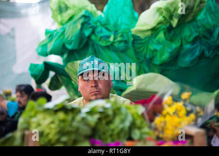 Buenos Aires, Argentine. Feb 27, 2019. Un travailleur agricole est entouré de légumes dans une manifestation devant le siège du gouvernement dans la capitale argentine participe. Les agriculteurs de l'UTT ont manifesté pendant des mois pour de meilleurs conditions de production. Ils se plaignent de la distorsion des prix par des intermédiaires et réclament plus de mesures fiscales. Crédit : Mario De Fina/dpa/Alamy Live News Banque D'Images