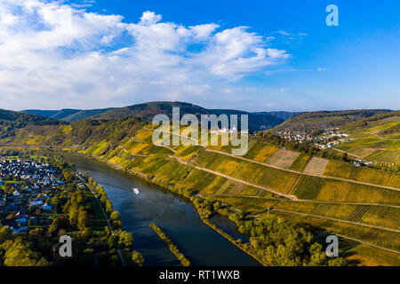 Allemagne, Rhénanie-Palatinat, vignes et près de Marienburg, Moselle Puenderich Banque D'Images