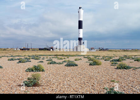 Dungeness est l'une des plus grandes étendues de shingle en Europe. Vu de la mer voici les plantes avec la nouvelle kale phare dormeur en arrière-plan. Banque D'Images