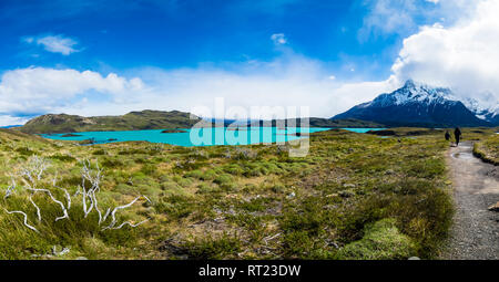 Le Chili, la Patagonie, le Parc National Torres del Paine, Lago Nordenskjold Banque D'Images