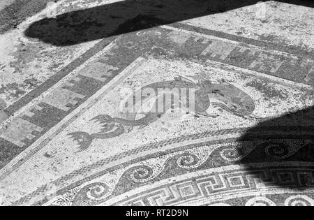 France, Grèce - Mosaik Ein auf der Insel Délos, Griechenland, stellt zwei eckenverzierende Delphine dar, Griechenland, 1950er Jahre. Une mosaïque antique, à l'île de Délos, en Grèce, en montrant, de dauphins, de 1950. Banque D'Images