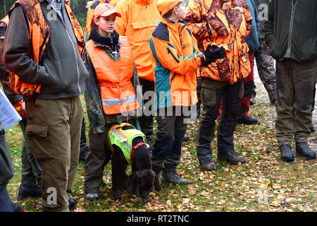 Conduit d'automne chasse sur red deer, chasse, chasse, chasse entraînée, red deer hunt, chasser sur le red deer, la chasse avec des chiens, la chasse, la chasse de novembre Bavarian Banque D'Images