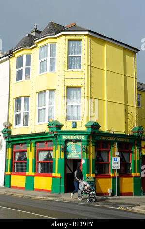 Les Forums Doghouse pub à plymouth Devon England UK Banque D'Images