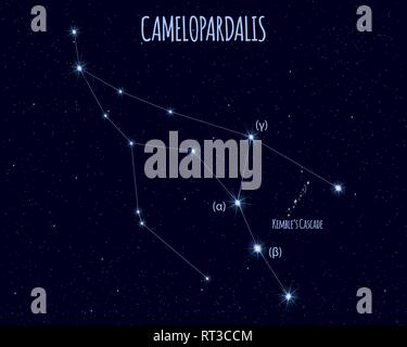 Camelopardalis (girafe), la constellation d'illustration vectorielle avec les noms de stars de base contre le ciel étoilé Illustration de Vecteur