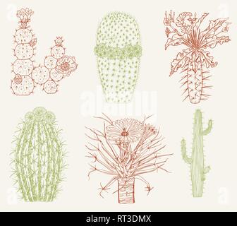 Accueil cactus et fleurs. Ensemble d'éléments mignon confortable. Collection de plantes tropicales et exotiques de piquants. Gravé à la main dans de vieux Illustration de Vecteur