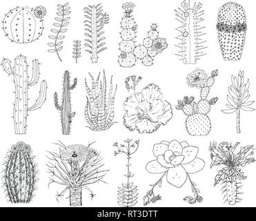 Accueil cactus et fleurs. Ensemble d'éléments mignon confortable. Collection de plantes tropicales et exotiques de piquants. Gravé à la main dans de vieux Illustration de Vecteur