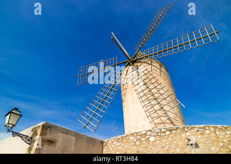Moulin à vent historique de es Jonquet, dans la vieille ville de Palma de Mallorca, Majorque, Îles Baléares, Espagne Banque D'Images