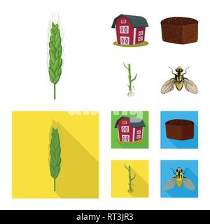 ,Printemps,grenier,pain,tige,voler,spike,root,bâtiment,insectes,dur,industrie,brun,lutte,farine,automne,alimentaire,sols,commande,graines,sain,stop,son,glucides croître,céréales,ailes,remise,pain,agriculture,vélo,agriculture,plantes,seigle blé,maïs,grain,récolte,ferme,,champ,set,icône,,illustration,collection,isolé,design,graphisme,élément vecteur vecteurs,signer , Illustration de Vecteur