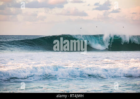 Les surfeurs professionnels le surf des vagues de classe mondiale de Fernando de Noronha, une île au large de la côte nord du Brésil Banque D'Images