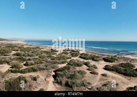 Dunes de sable sur la plage de La Mata, ciel bleu, pas de personnes. Province d'Alicante, Costa Blanca, Espagne Banque D'Images