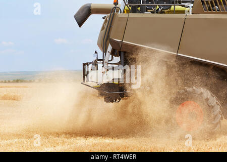 L'ensileuse agricole travaillant dans un champ de blé Banque D'Images
