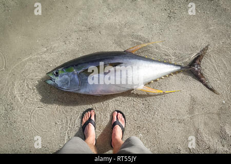 Captures d'Albacore sur plage de sable, avec pieds pêcheur en tongs - General Santos, Philippines Banque D'Images