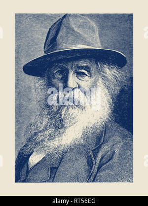 L'histoire américaine portrait de poète américain Walt Whitman. Banque D'Images