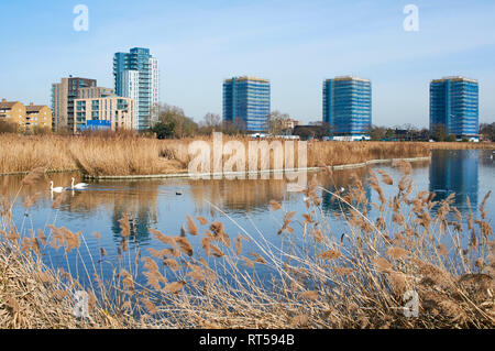 Woodberry Wetlands en hiver, le nord de Londres, Royaume-Uni, avec tour de blocs et de nouveaux appartements en arrière-plan Banque D'Images