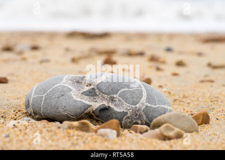 Pierre gris avec des lignes blanches allongé sur une plage de sable fin. Seul au milieu de la pierre de sable de plage. Vue avant Banque D'Images