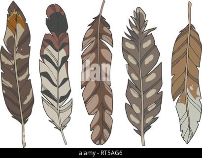 Cartoon vector illustration style de jeu différents natural brown eagle, le canard et le plumage des oiseaux échassiers Illustration de Vecteur