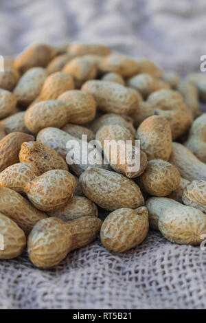 L'arachide (Arachis hypogaea) sur surface sac Banque D'Images