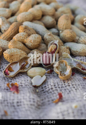 L'arachide (Arachis hypogaea) sur surface sac Banque D'Images