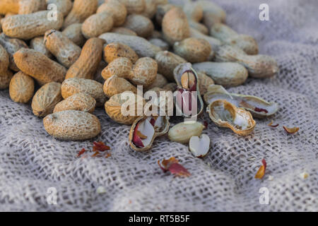 L'arachide (Arachis hypogaea) sur surface sac Banque D'Images