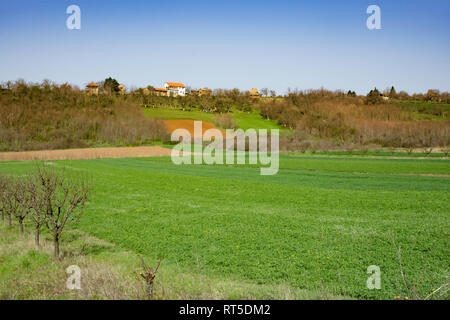 De belles terres arables en Voïvodine, de vergers et de terres agricoles près de la Fruska Gora, en Serbie un terrain fertile Banque D'Images