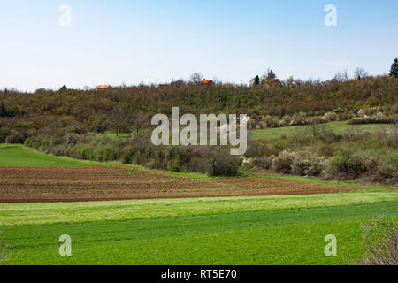 De belles terres arables en Voïvodine, de vergers et de terres agricoles près de la Fruska Gora, en Serbie un terrain fertile Banque D'Images