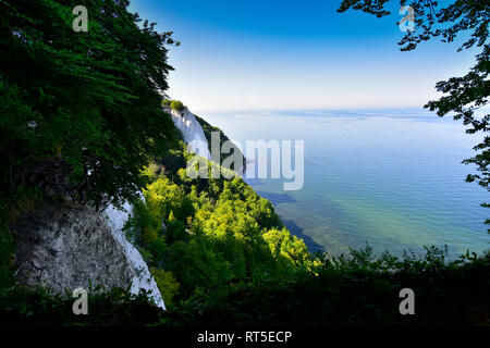 Allemagne, Ruegen, parc national de Jasmund, falaise de craie Koenigsstuhl Banque D'Images