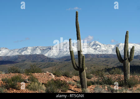 Une tempête de neige apporte aux quatre sommets de montagnes vu depuis le désert à l'extérieur de Phoenix, en Arizona. Banque D'Images