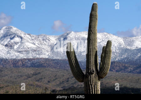 Une tempête de neige apporte aux quatre sommets de montagnes vu depuis le désert à l'extérieur de Phoenix, en Arizona. Banque D'Images