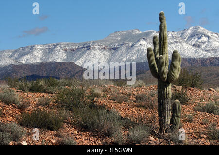 Une tempête de neige apporte aux quatre sommets de montagnes vu depuis le désert à l'extérieur de Phoenix, en Arizona. Banque D'Images