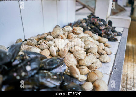 Le Chili, Puerto Montt, moules sur fish market Banque D'Images