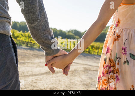 Italie, Toscane, Sienne, close-up of couple main dans la main dans un vignoble Banque D'Images