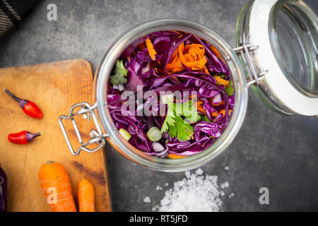 Chou rouge fait maison, fermentés, avec le piment, carotte et coriandre, dans un bocal Banque D'Images