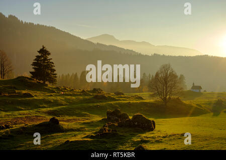 Autriche, Vorarlberg, Parc Naturel de la Nagelfluhkette, Balderschwanger Tal, Platz 187 près de Hittisau Banque D'Images