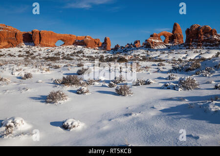 Fenêtre nord et la Tourelle Arch en hiver, Windows Sections, Arches National Park, Utah Banque D'Images