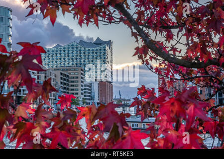 Allemagne, Hambourg, Elbe Philharmonic Hall en automne Banque D'Images