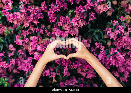 Woman's hands shaping coeur en face de fleurs rose Banque D'Images