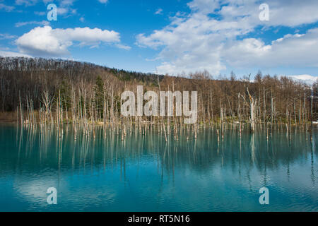 Hokkaido, Aoi Ike dans le Parc National de Daisetsuzan Banque D'Images