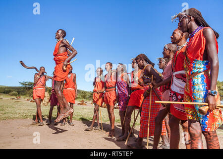 Le Masai Mara, Kenya, le 23 mai 2017 : les guerriers Masaï en costume traditionnel de sauter lors d'un rituel. Banque D'Images