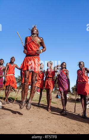 Le Masai Mara, Kenya, le 23 mai 2017 : les guerriers Masaï en costume traditionnel de sauter lors d'un rituel. Banque D'Images