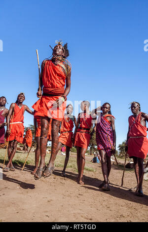 Le Masai Mara, Kenya, le 23 mai 2017 : les guerriers Masaï en costume traditionnel de sauter lors d'un rituel. Banque D'Images