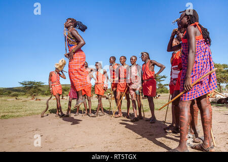 Le Masai Mara, Kenya, le 23 mai 2017 : les guerriers Masaï en costume traditionnel de sauter lors d'un rituel. Banque D'Images