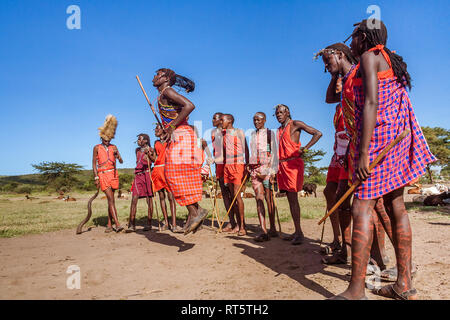 Le Masai Mara, Kenya, le 23 mai 2017 : les guerriers Masaï en costume traditionnel de sauter lors d'un rituel. Banque D'Images